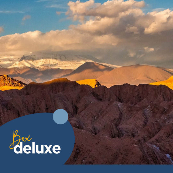 Descubre el Atacama: Naturaleza y Estrellas 